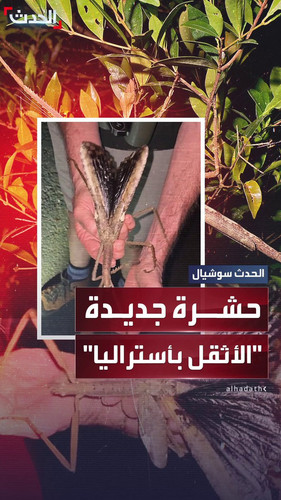 LvJk9dz3aAnHtYHd.jpg