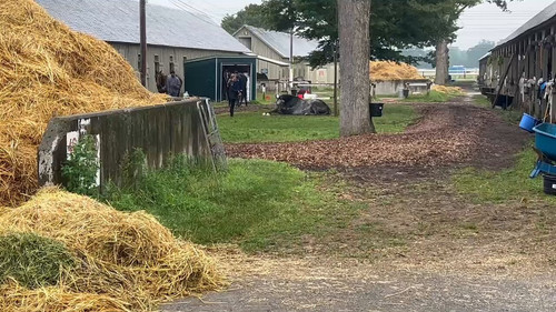 fl5wFil6xFT 9Z28.jpg