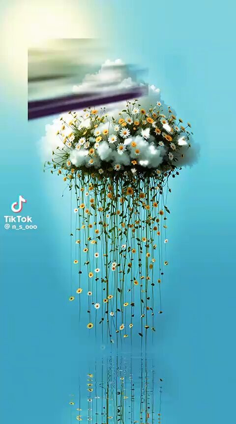 VzqyCe502gbf 8 f.jpg