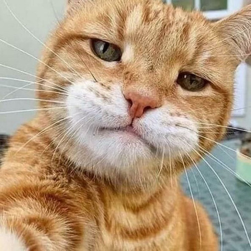  6055497377751615079 99.jpg