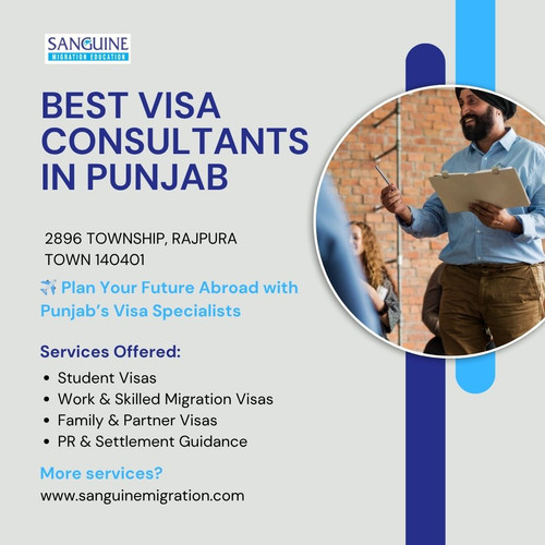 Best visa consultant punjab.jpg