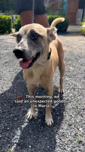 zkq O ESrSK1VVe3.jpg