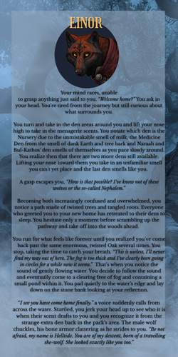 EINOR.png