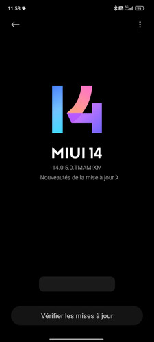 Screenshot 2025 08 01 11 58 34 556 com.android.updater