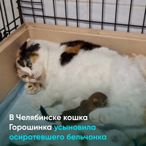 akodLKMCzI6YRZcr.jpg