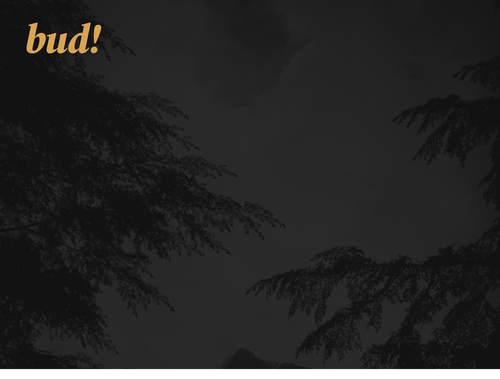 fullwidth dark banner with heading top left.png