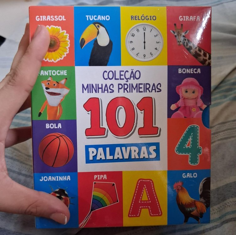 Coleção Minhas Primeiras 101 Palavras – Box com 3 Livrinhos Capa dura – 22 janeiro 2024