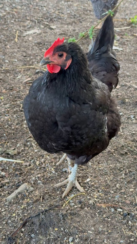 Vmxv27OAwpOJgZUS.jpg