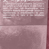 GEPA POST 04