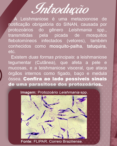 GEPA POST 02.2
