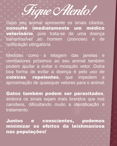 GEPA POST 08.2