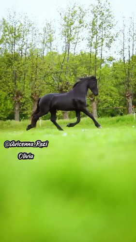 IspAzcjeboFp jJE.jpg