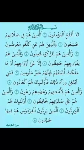 qh2EkSeHpk6bx yo.jpg