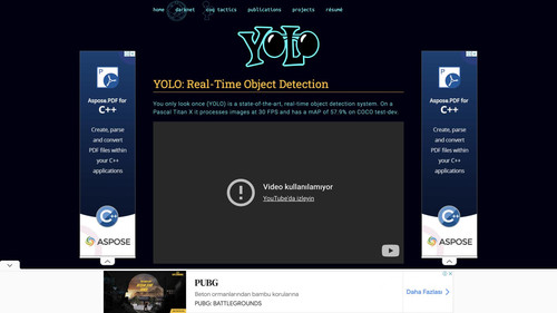 YOLO thumbnail.jpg
