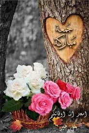 téléchargement 2025 08 01T101608.817.jpg