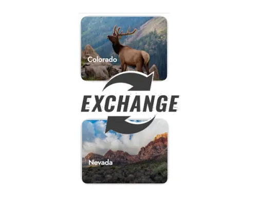 exchange.webp
