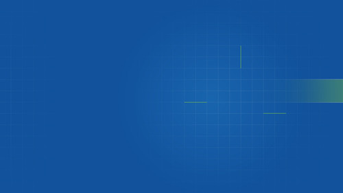 WebsiteBanner LS 01.jpg
