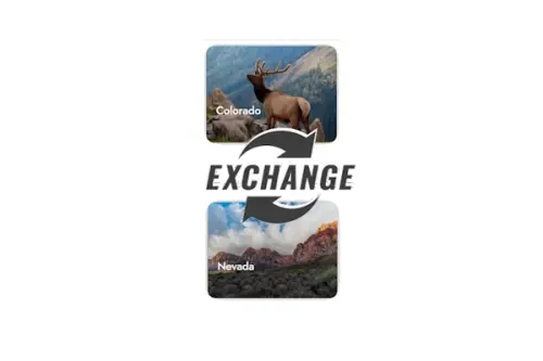 exchange.webp