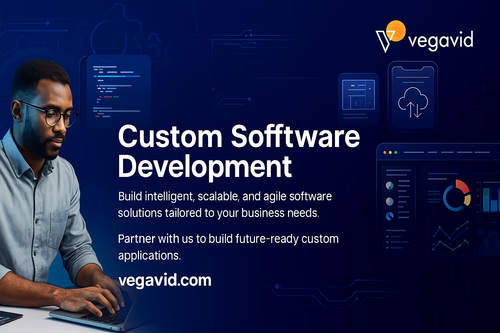 Custom Software Development Agency.png