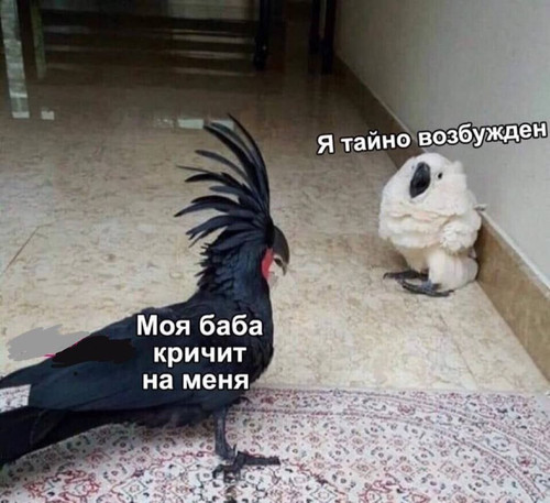 20250801 142010.jpg