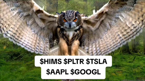 bnqwJNngGmRkGF5u.jpg