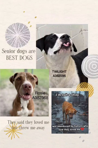 SCMx vRDkijzyYn9.jpg