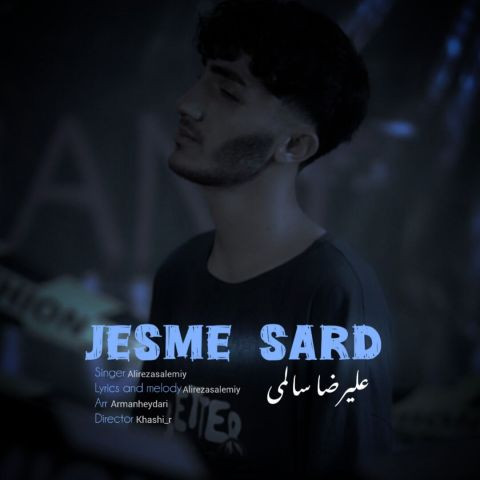 دانلود آهنگ علیرضا سالمی به نام جسم سرد