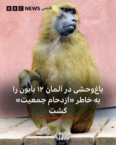 GxOWJB2WsAI6oa4.jpg
