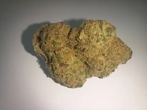 20250710 110842.webp