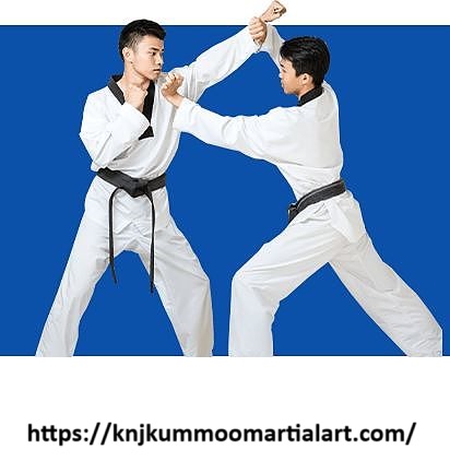 Adult martial arts training 2.jpg