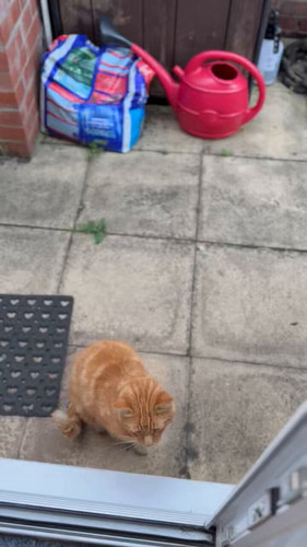 2W LbONPaMtUCCXo.jpg