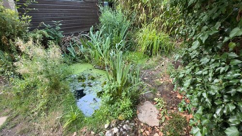 UZFEI98 GoA 9a0f.jpg