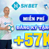 banner gif shbet 300x250.gif