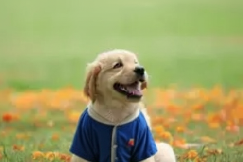 f4fbfc4377c0.png