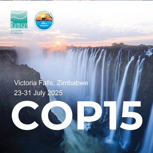 GxM4VHOWIAEvD9o.jpg