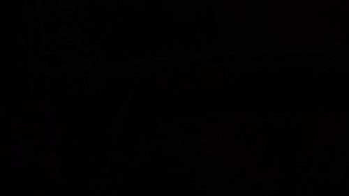 P9nNR 2NggoeUOhX.jpg