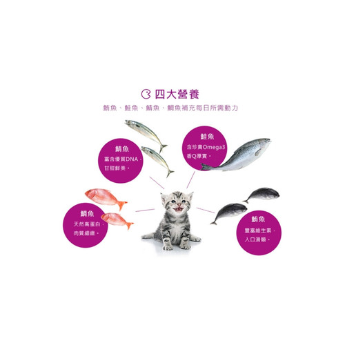 image WH 1200x1200px (3).jpg