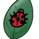 2025 05 30 0r5 Kleki