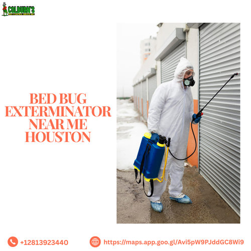 Best Bed Bug Exterminator Near Me in Houston.png