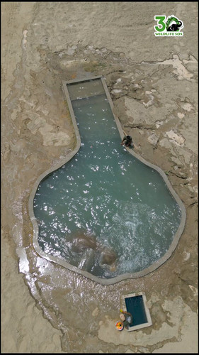  ViUCnNOmDbPeOUm.jpg