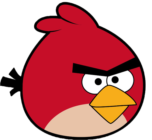birds png 3514.png
