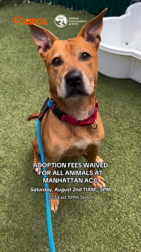 iuzQNG3 QnRxJ7Jt.jpg