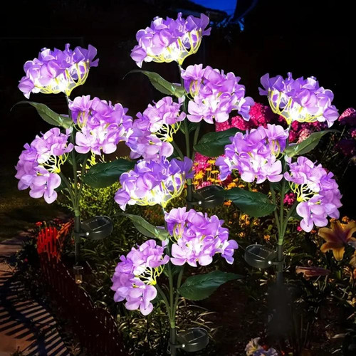 d0102x30c37.jpg