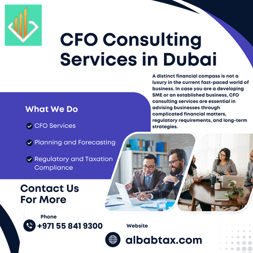 CFO Consulting .Services in Dubai.png
