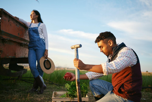 farming woman man field harvest vegetables sustainable small business agriculture nature relax farme.jpg