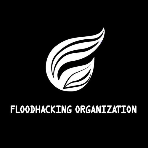 FloodHackingOrganization.jpg