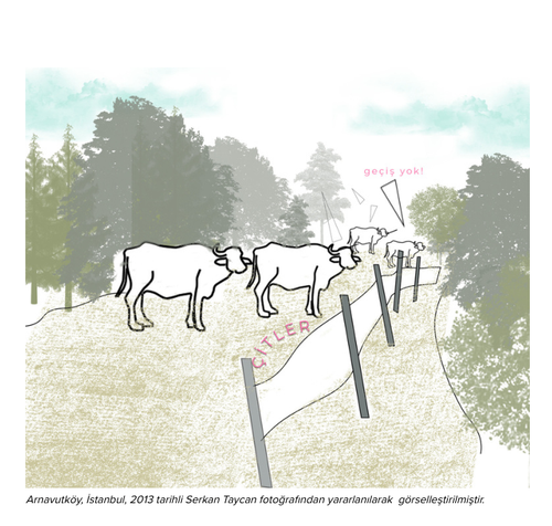 MEF AAP 027 BAP PART II 2025 08 01 14 12 12.png