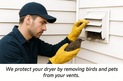 Pets And Bird Removing PDC 7.jpg