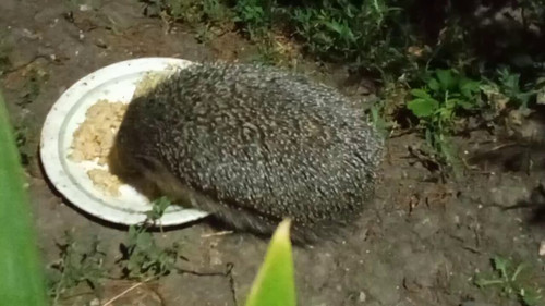 b4 UsC8Klc6H4VuU.jpg