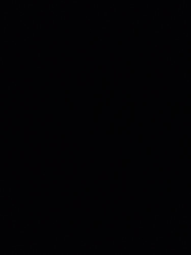 1000034084.jpg